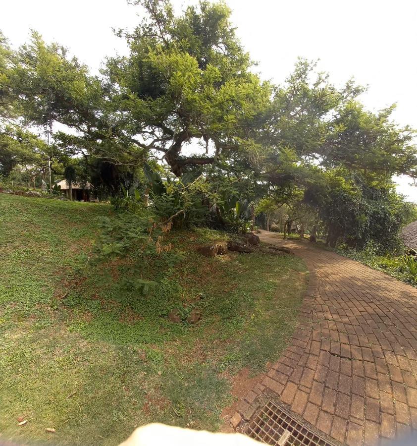 Ascot Bush Lodge Pietermaritzburg Exteriör bild