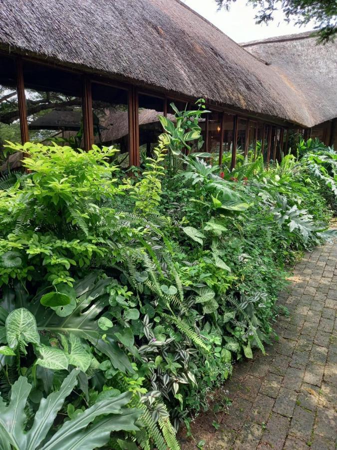 Ascot Bush Lodge Pietermaritzburg Exteriör bild